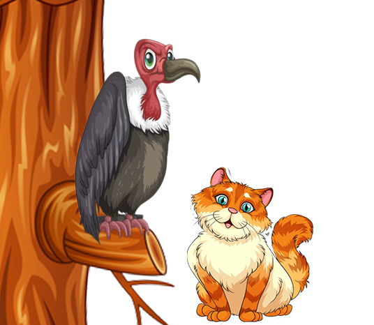 A blind vulture and Cat - Panchataritra