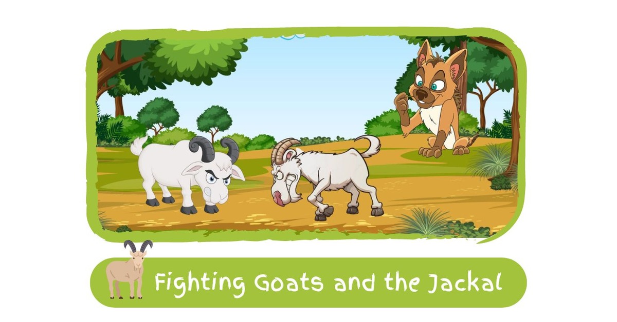 Fighting-Goats-and-the-Jackal-Panchatantra-Tales